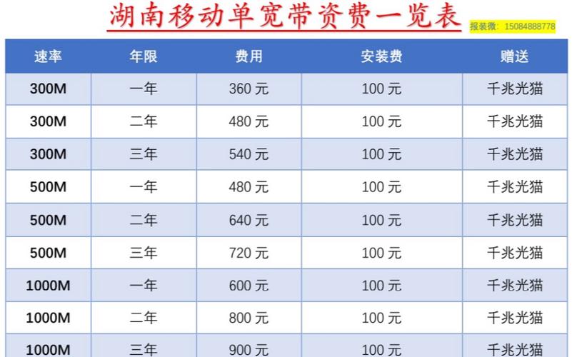 长沙手机流量卡（长沙联通流量卡）  第1张