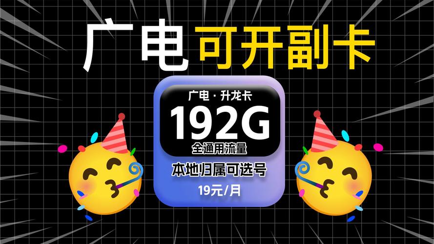 19元100g流量卡（19元100g流量卡联通）