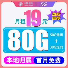 19元100g流量卡（19元100g流量卡联通）