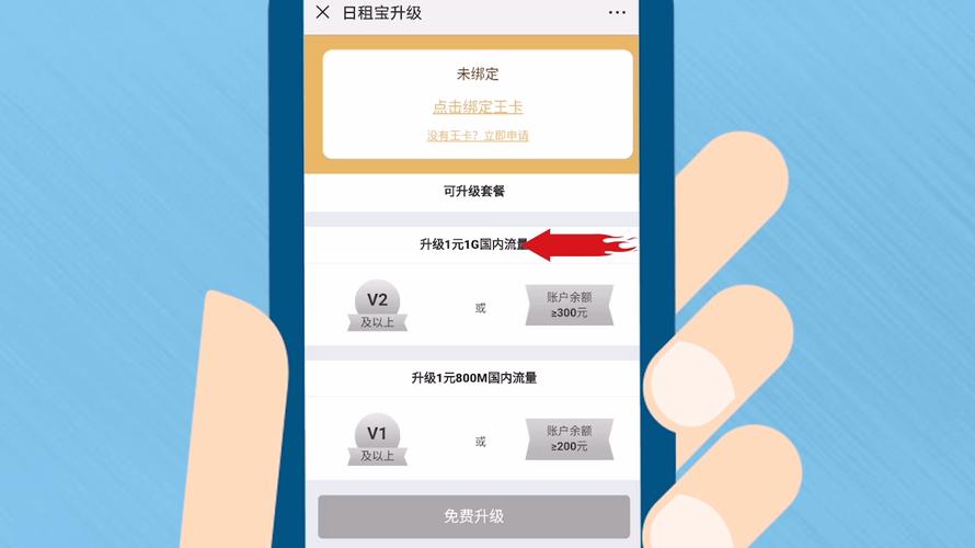 大王卡怎么一元包流量（大王卡一元2g怎么开通）  第6张