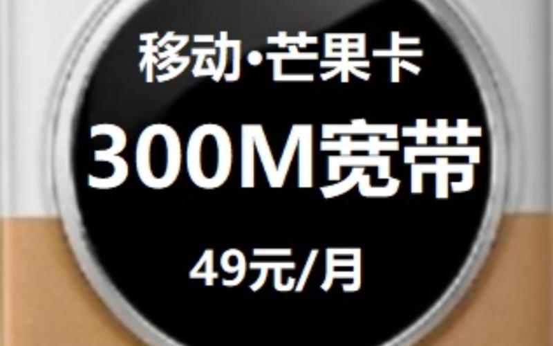 流量卡移动19（流量卡移动19元360g官方办理）  第5张