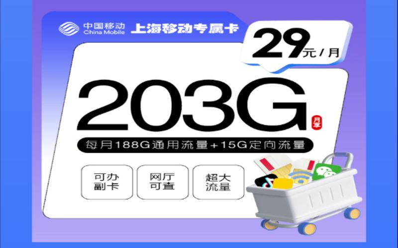 移动4g流量卡套餐介绍（移动4g流量卡多少钱一张）  第1张