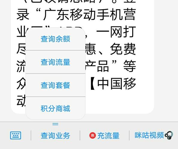 移动卡查流量发什么短信（移动号查流量发送什么短信）  第6张