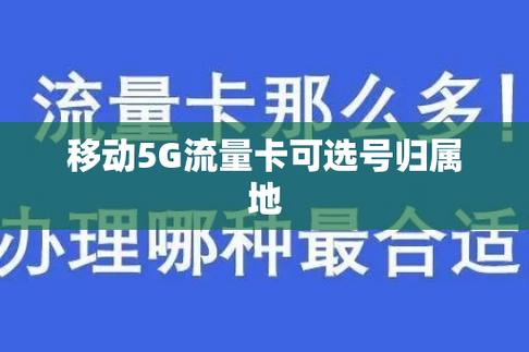 流量卡自选归属（流量卡自选归属什么意思）  第6张