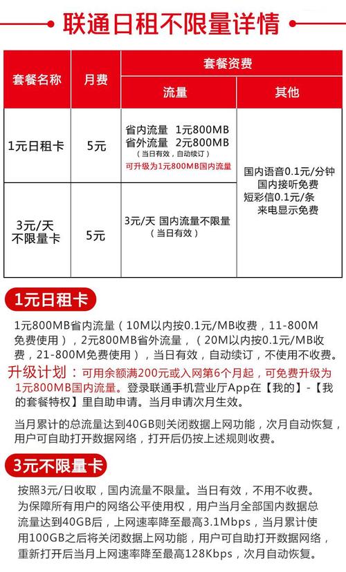 联通日租卡怎么查询流量（中国联通流量日租卡）  第6张