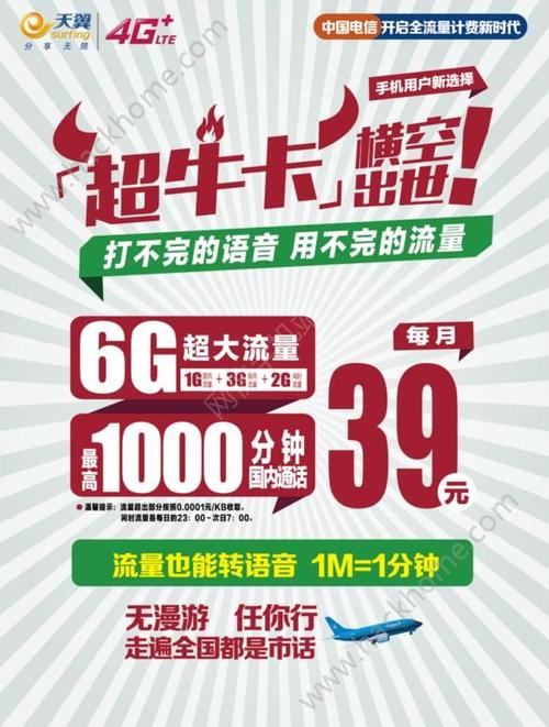 电信超牛卡流量叠加包？电信超牛卡99包100g  第4张