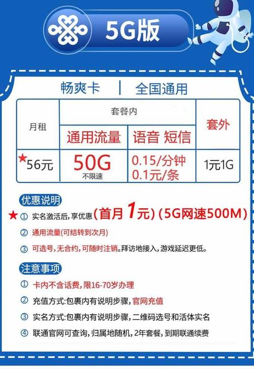 流量爽卡联通，联通流量爽卡266元100g  第1张