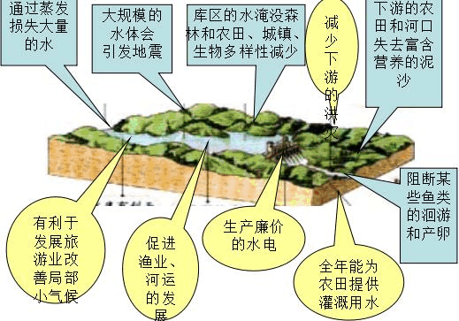 沙卡流量便宜（流量卡划算不）  第3张