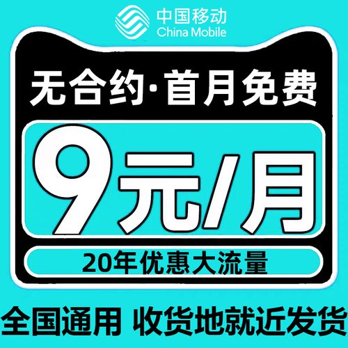 移动大王卡有多少流量？移动大王卡流量使用范围  第3张