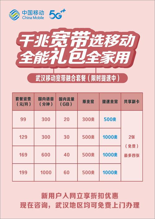 移动一元五百兆流量卡（移动1元500兆流量怎么办理）  第2张