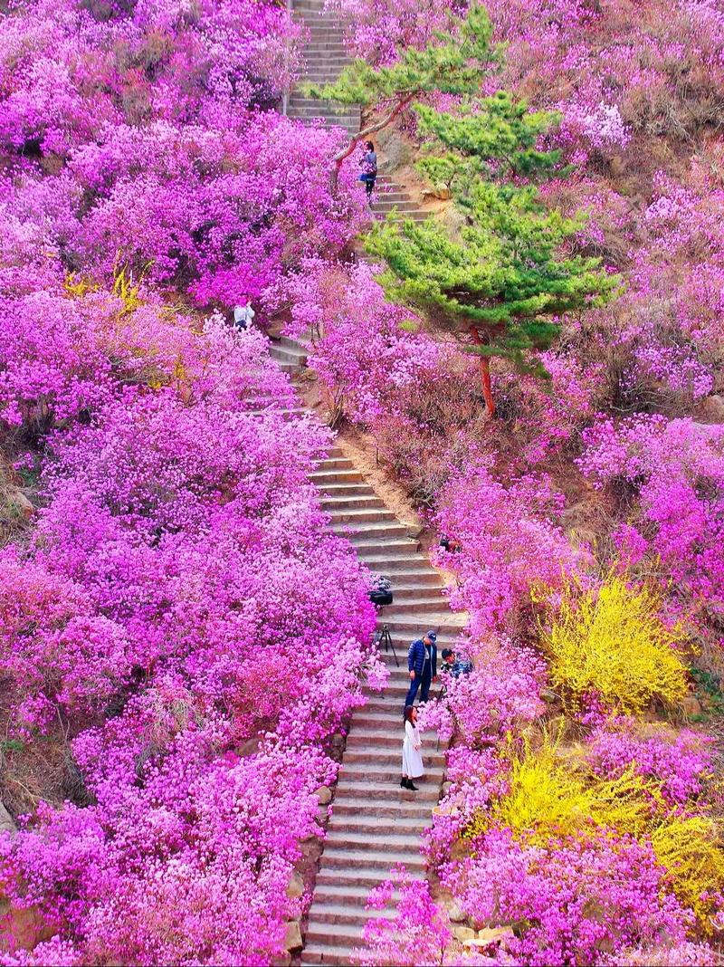 移动春光流量卡（移动光流量套餐）