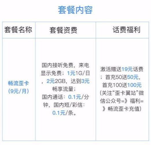 电信日租卡流量查询，电信日租卡流量查询官方网站