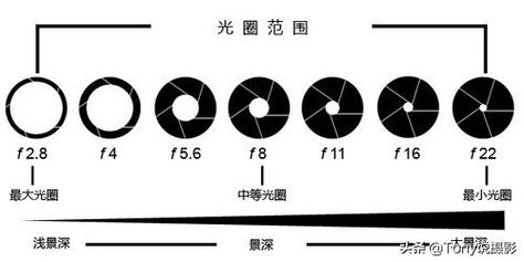 久久流量卡盟，久久卡联通普号版套餐