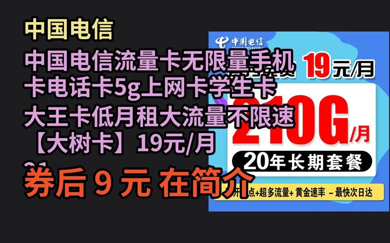 中国电信无限流量卡（中国电信无限流量卡多少钱一个月）