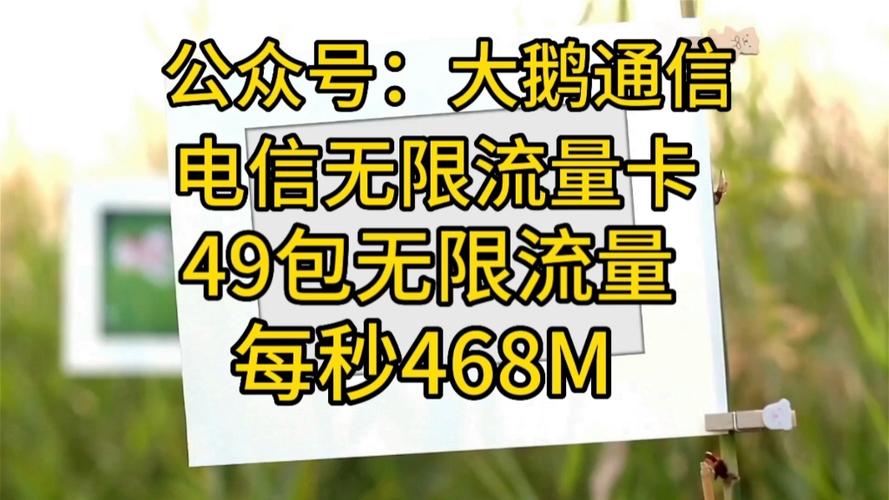 电信49元无限流量卡，电信49元无限流量卡哪里可以办理